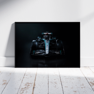 Cuadro Mercedes F1