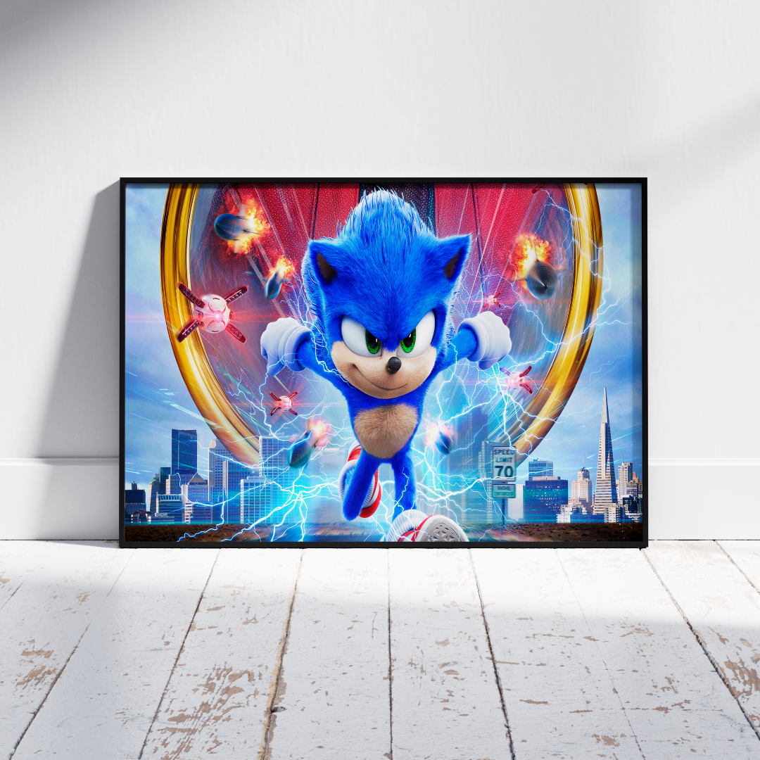 Cuadro de Sonic - Imagen 3