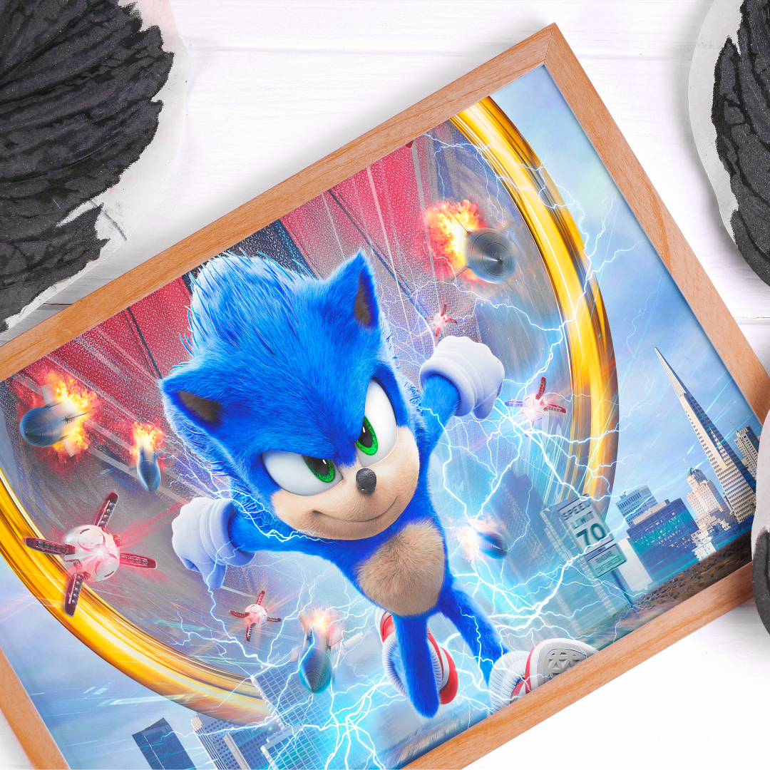 Cuadro de Sonic - Imagen 2